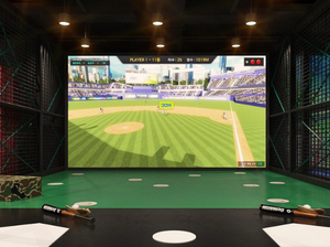 baseball simulator